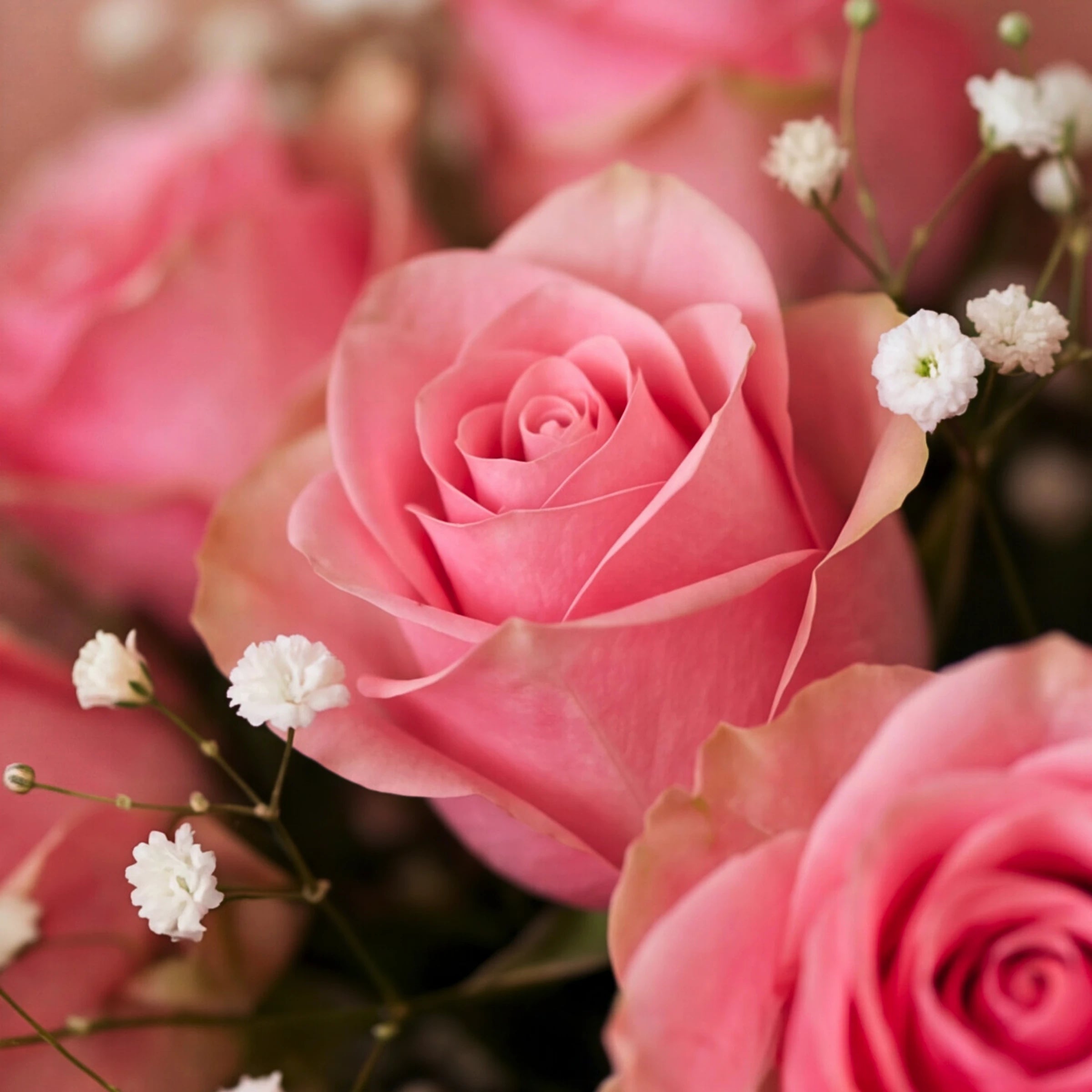 Close-up of a soft pink rose and white baby's breath in the Sweet Talk bouquet