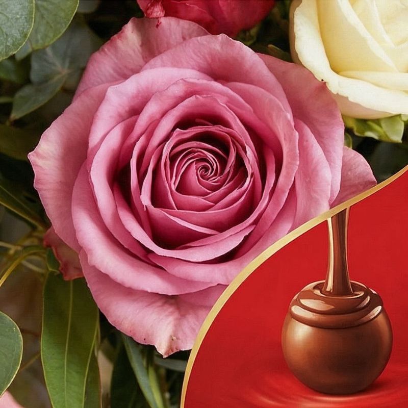 Close-up of a pink rose with a chocolate truffle on a red background
