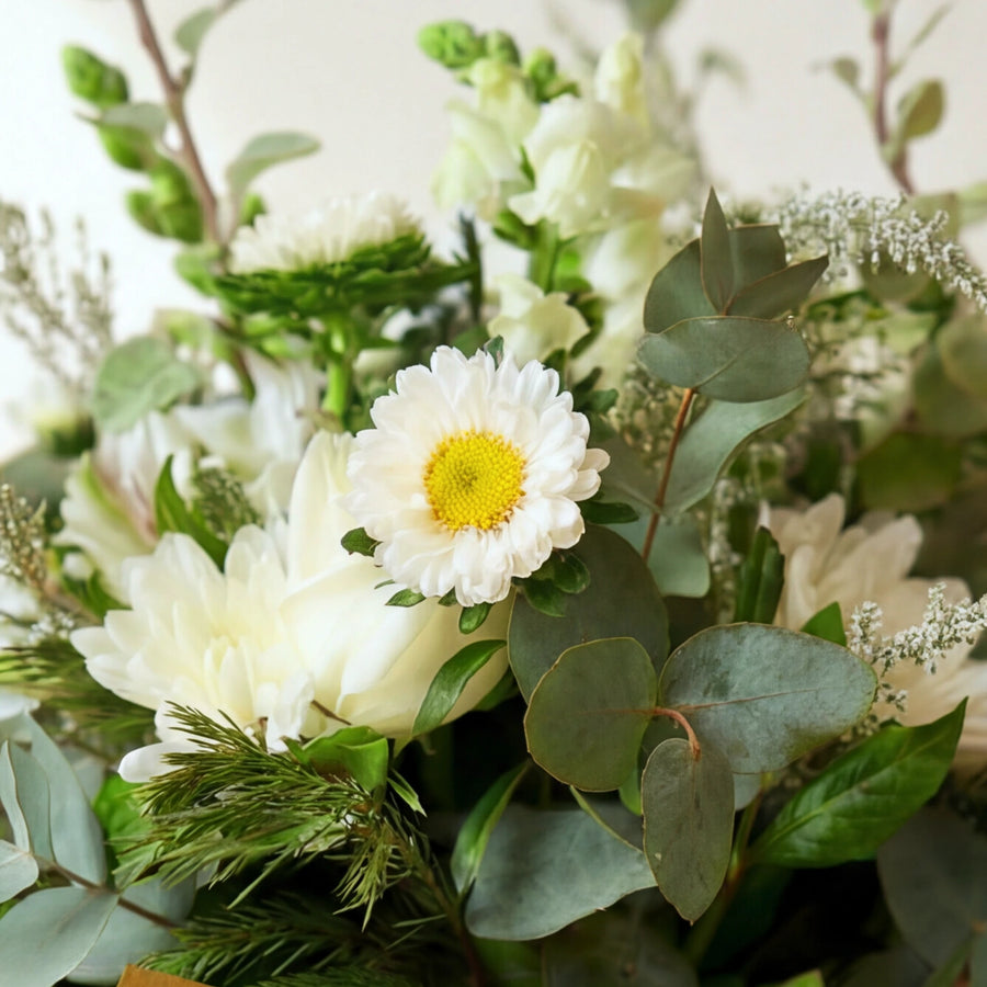 Close-up of a white aster and white chrysanthemum with eucalyptus in the Tranquility arrangement.