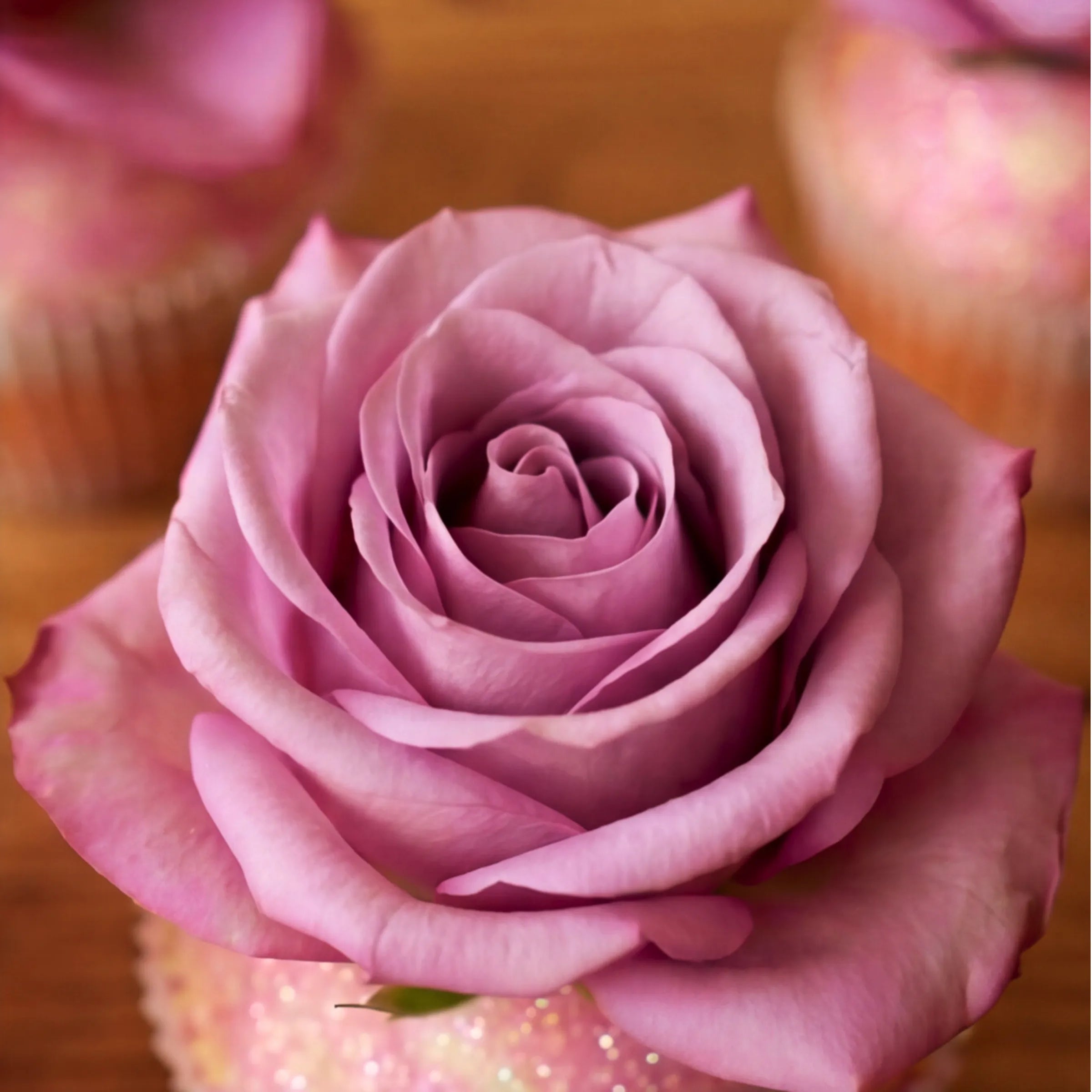 Macro detail of a fresh lavender-pink rose bloom sitting on a glitter-dusted vanilla cupcake, hand-finished by Fabulous Flowers Claremont studio bakery