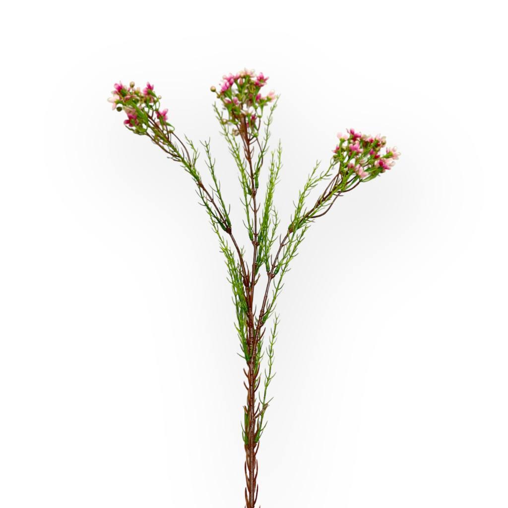 "Silk wax flower pink stems - Fabulous Flowers and Gifts