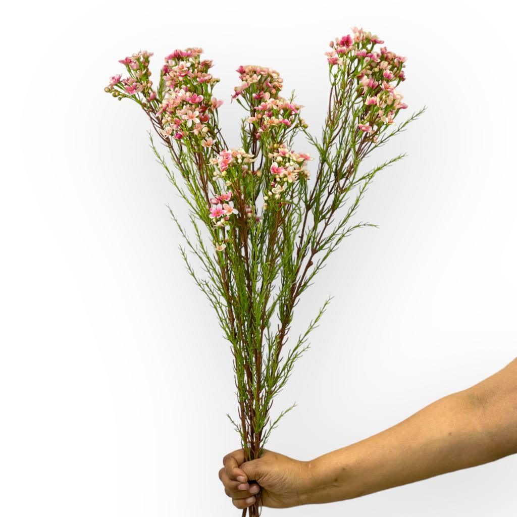 "Silk wax flower pink stems - Fabulous Flowers and Gifts