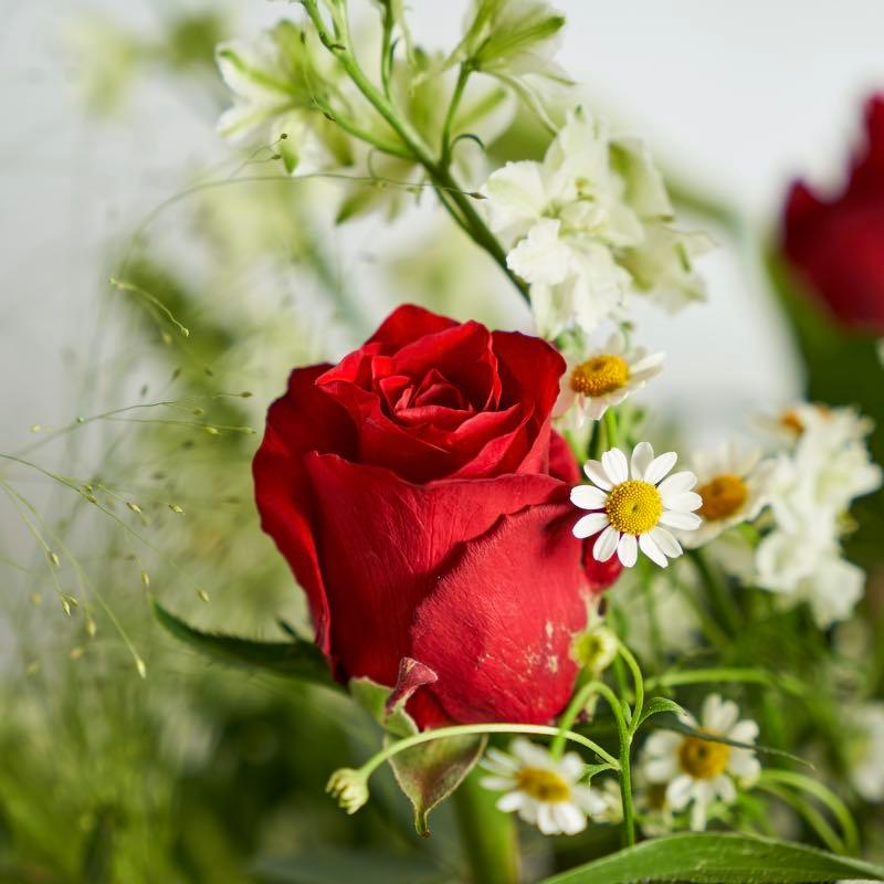 Elegant Chic Bouquet as a birthday gift - Fabulous Flowers Claremont Florist