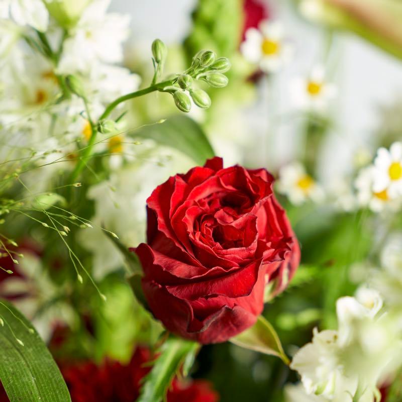 Elegant Passion | Fabulous Flower Delivery Cape Town