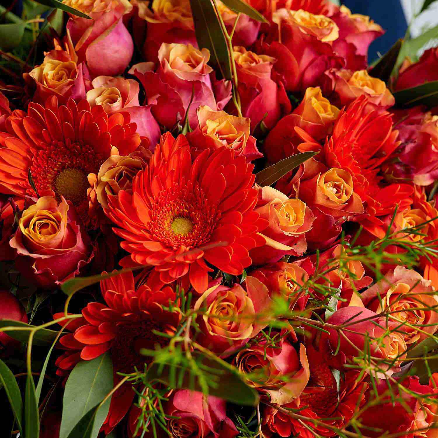 Orange roses and gerberas | Fabulous Flowers