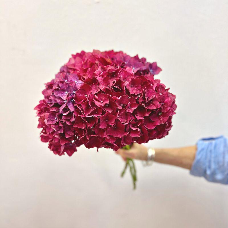 Maroon Hydrangea Bouquet - detail view