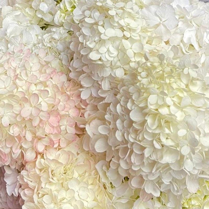 White Hydrangea Bouquet - alternate view