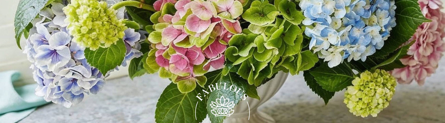 Fabulous Flowers and Gifts — stunning hydrangea flower arrangement ideas featuring multicoloured blooms in blue, pink, green, and white