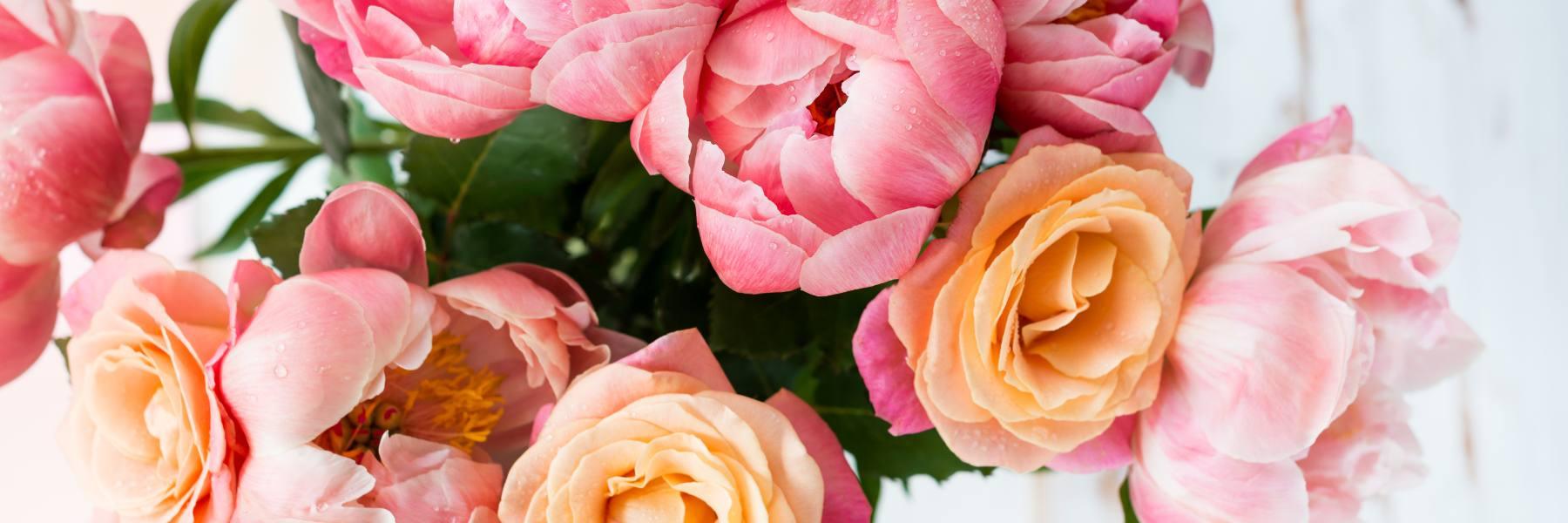 The Ultimate Guide to Rose Essential Oil - A Beauty Box in a Flower
