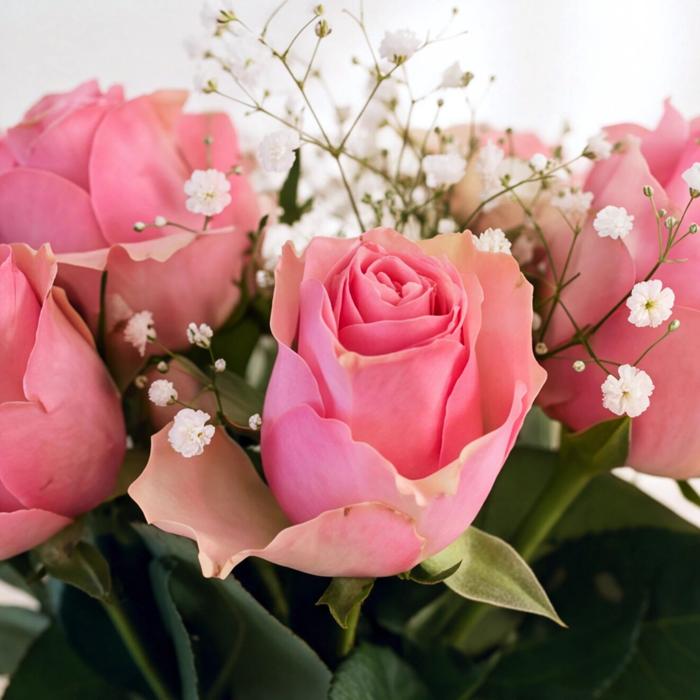 Close-up of pink roses and white baby’s breath in the A Rosy Glow arrangement