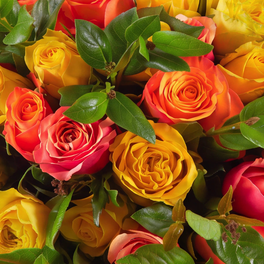 A close-up of a vibrant rose bouquet featuring yellow, orange, and pink roses with fresh green leaves.