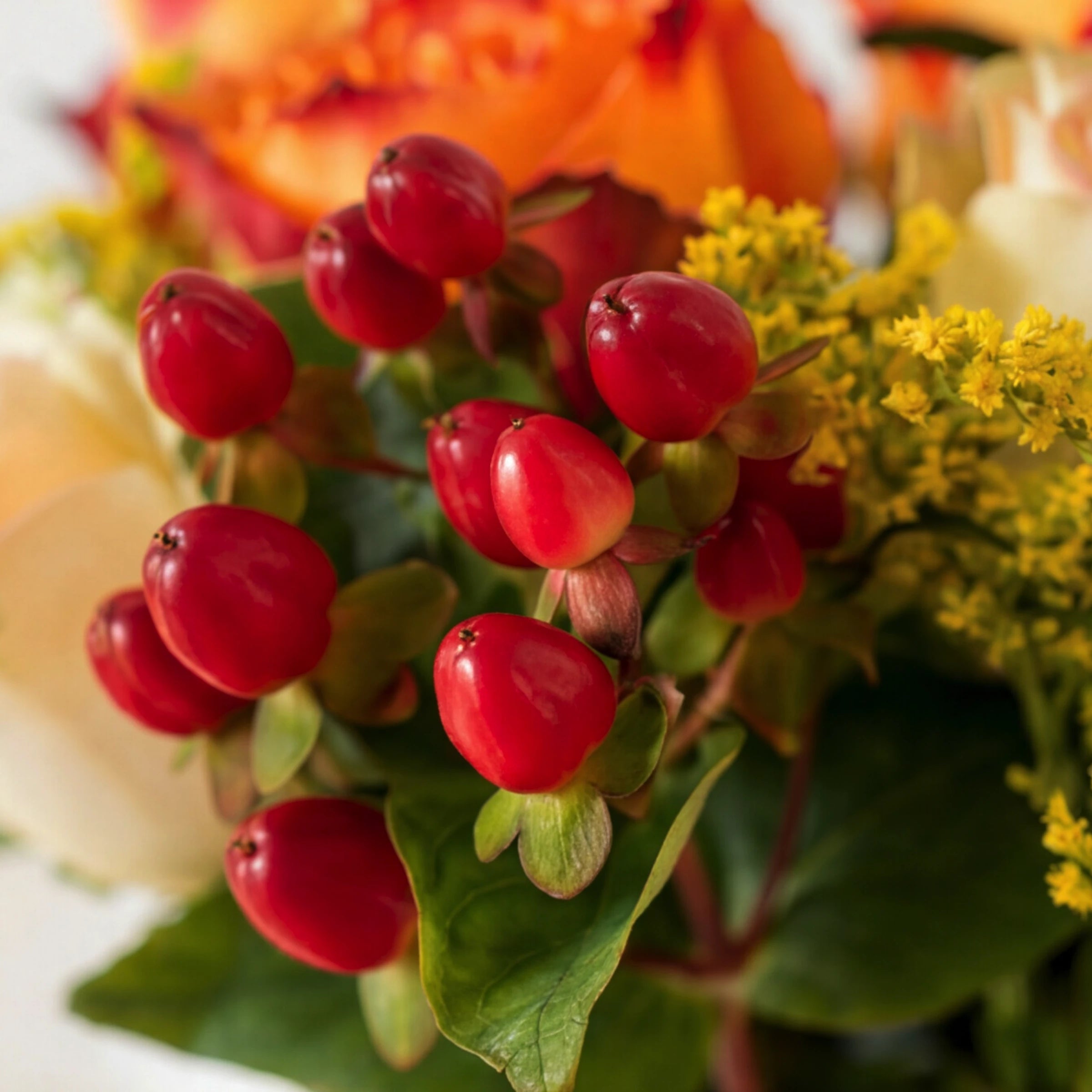 Close-up of red hypericum berries and yellow solidago in the Amber & Spice autumn bouquet
