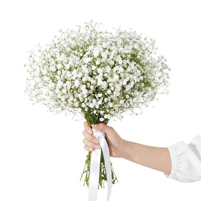 Baby Breath Bouquet