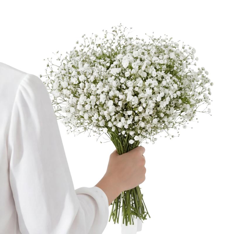 Person holding a bouquet of white flowers against a white background