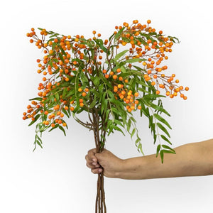 Berry spray orange artificial flowers on white background - Fabulous Flowers & Gifts