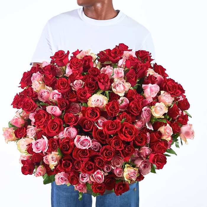 Between Heartbeats bouquet with 250 red and blush pink roses, oversized luxury arrangement held in front of the body