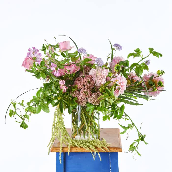 Bloom Blush