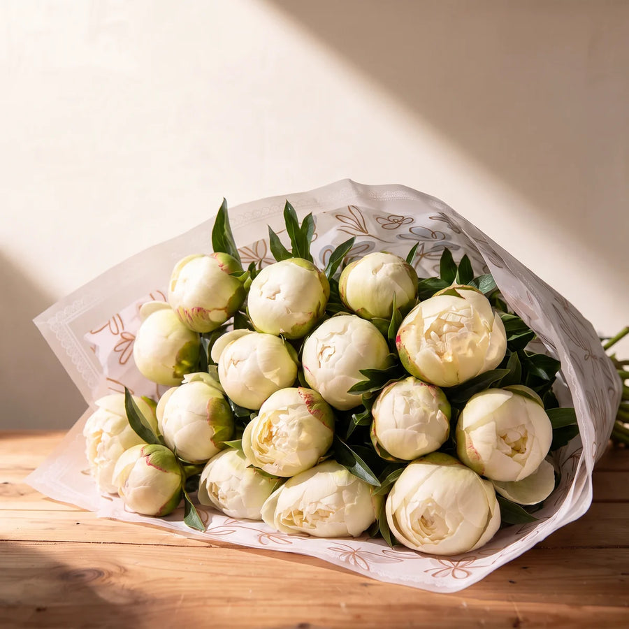 Twenty Bowl of Cream peonies in creamy white bud, wrapped in white paper with a gold leaf print on a pine table in afternoon sunlight, Fabulous Flowers South Africa