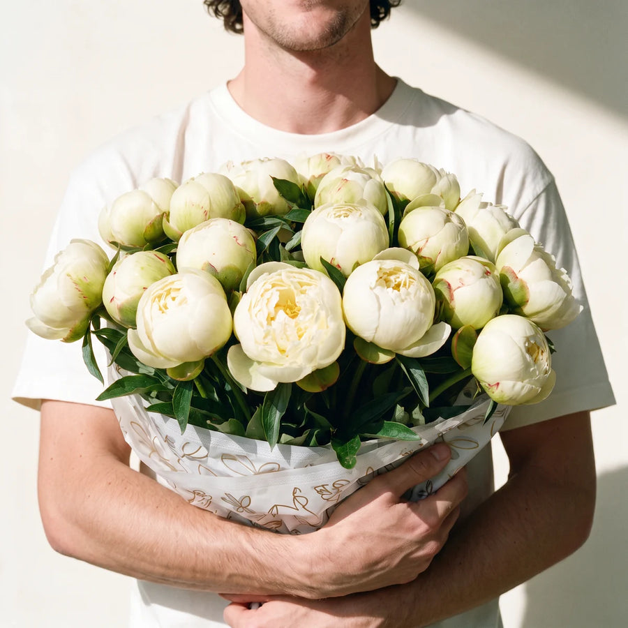 Man with curly dark hair in a white t-shirt holding a large bouquet of twenty Bowl of Cream peonies against a cream wall, Fabulous Flowers South Africa