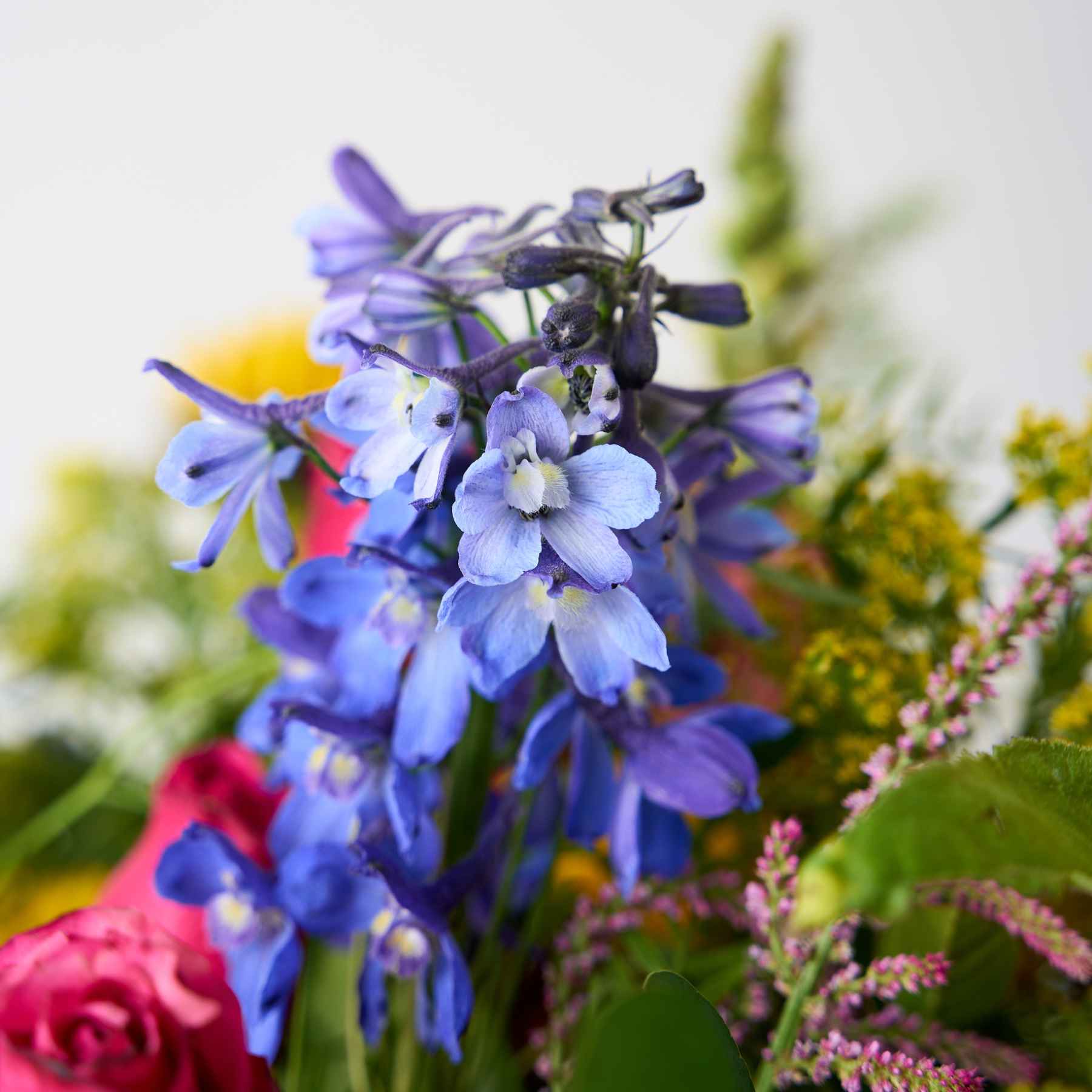 Detailed view of delicate blue flowers amidst a bright and modern floral arrangement, highlighting their vibrant colour and texture.