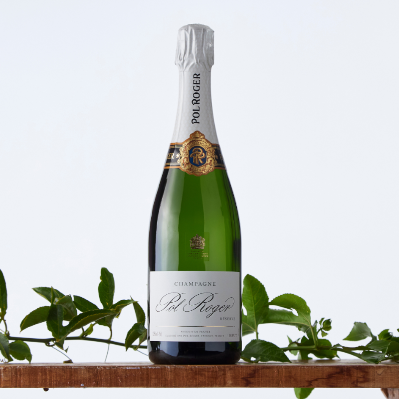  Pol Roger Réserve Brut Champagne bottle with white and gold label displayed on a wooden shelf with green vine leaves against a light background.