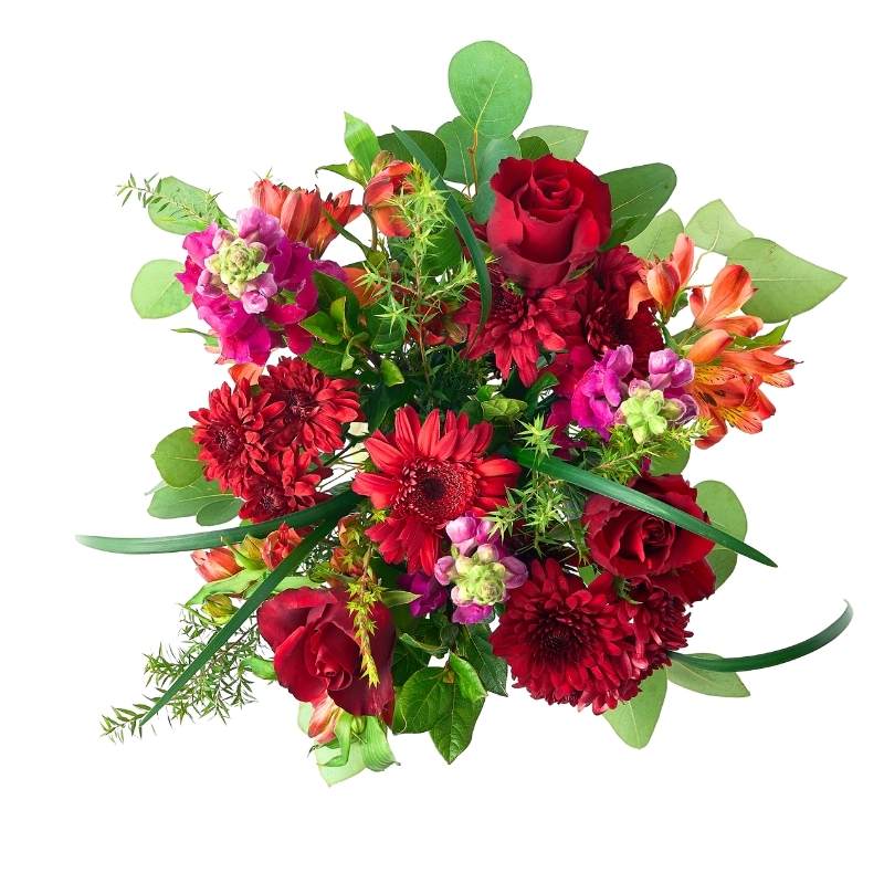 Arrangement of red, pink, and green flowers on a white background