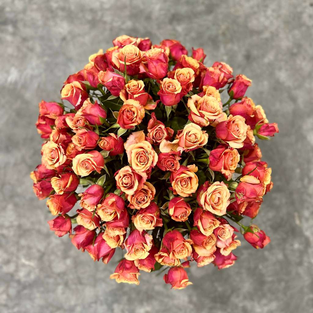 Luxury Valentine’s Day 100 Cherry Roses Arrangement | Fabulous Flowers and Gifts