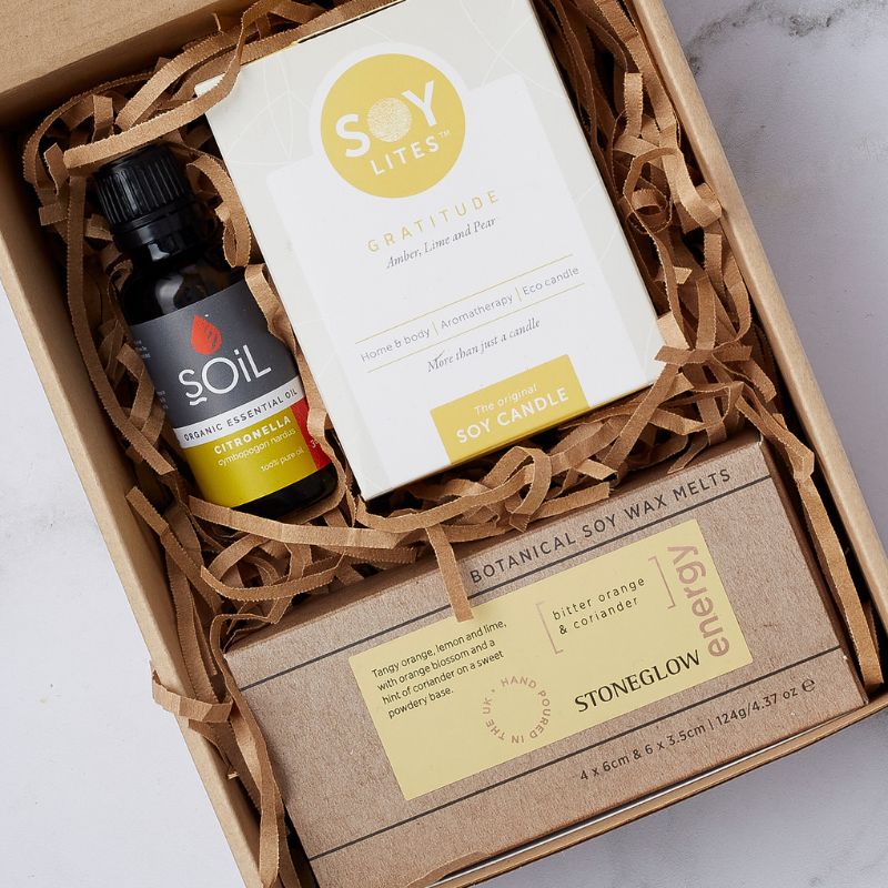 Citronella & Gratitude Set - alternate view