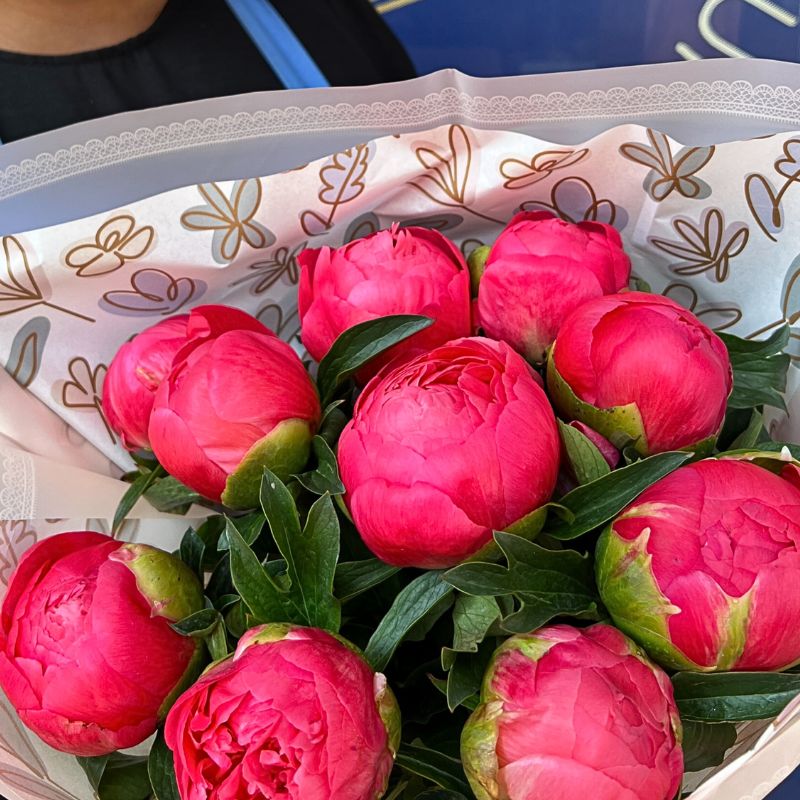 Coral Sunset Peony Bouquet 10 Stems - alternate view