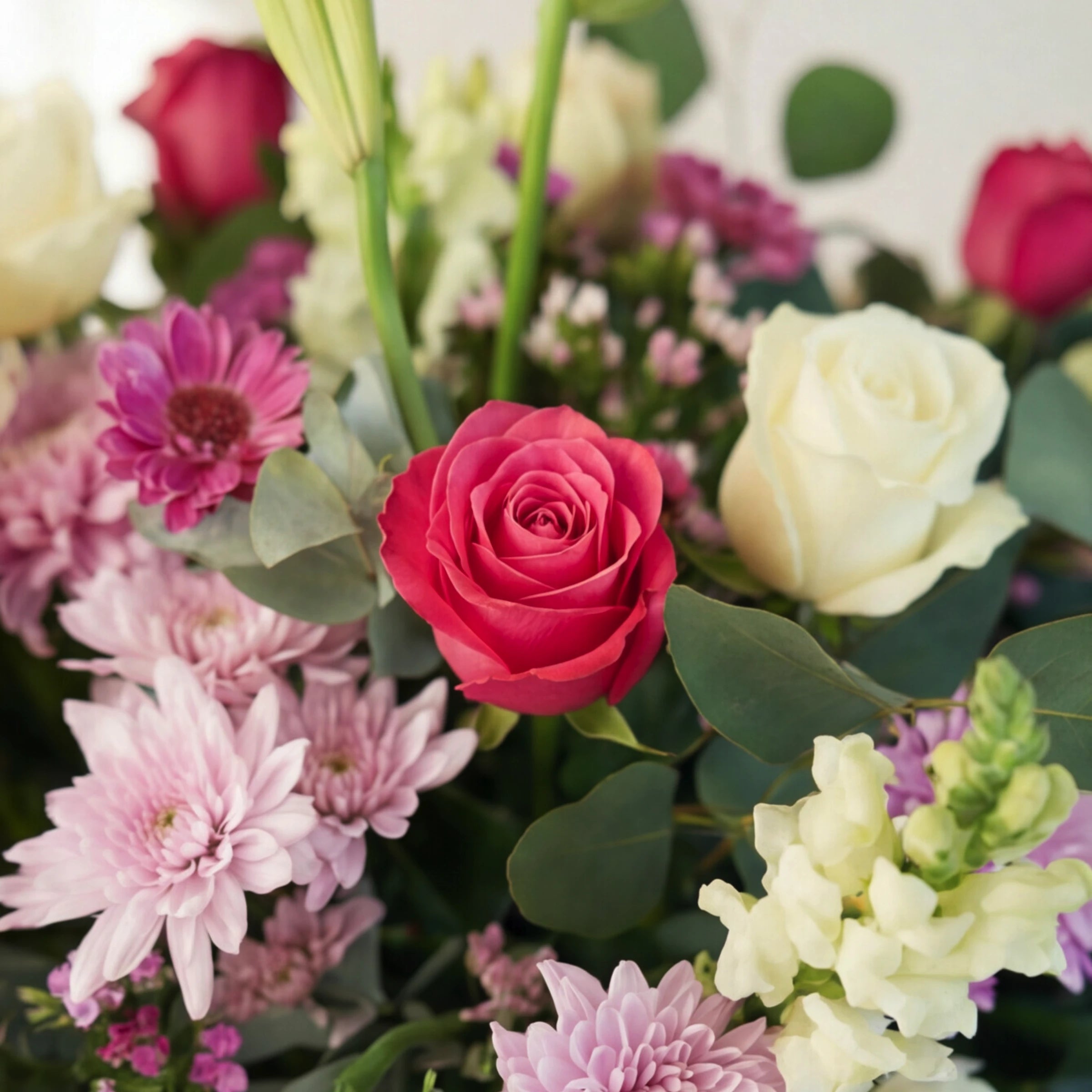 Close-up of a cerise rose with a white rose, pink gerbera and lilac chrysanthemums in the arrangement.