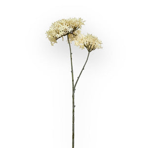 "Elegant silk flower stem in cream - Fabulous Flowers & Gifts