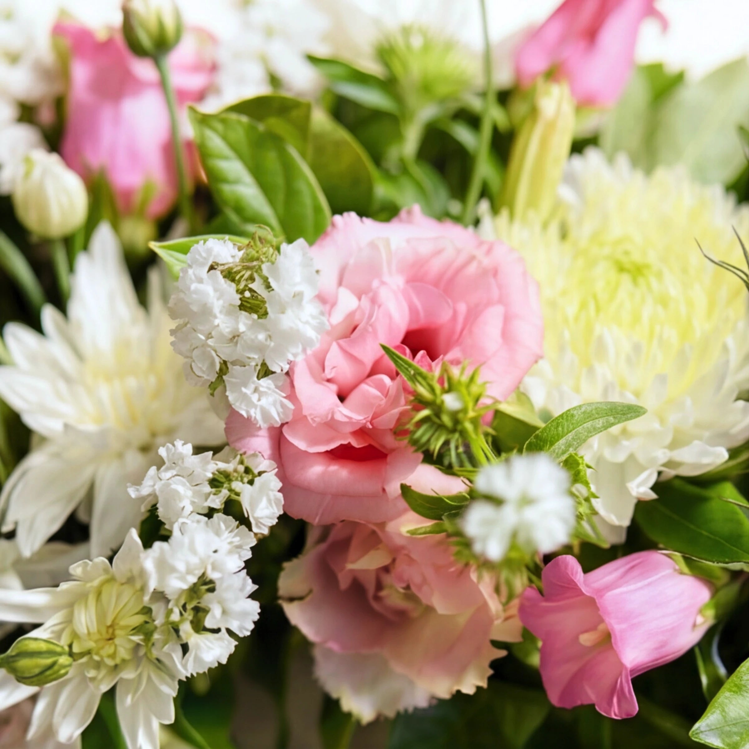 Close up of pink lisianthus, white chrysanthemums and statice in the Eternal Spring wreath