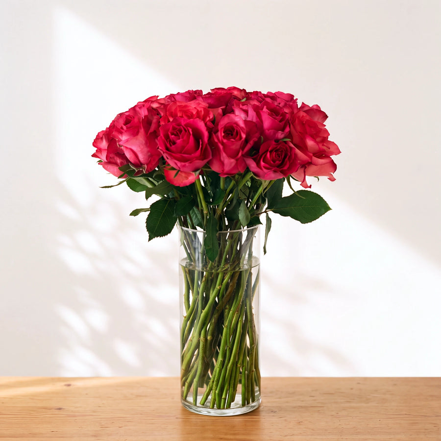 Large Fandango showpiece vase packed with cerise pink roses, single variety, no filler