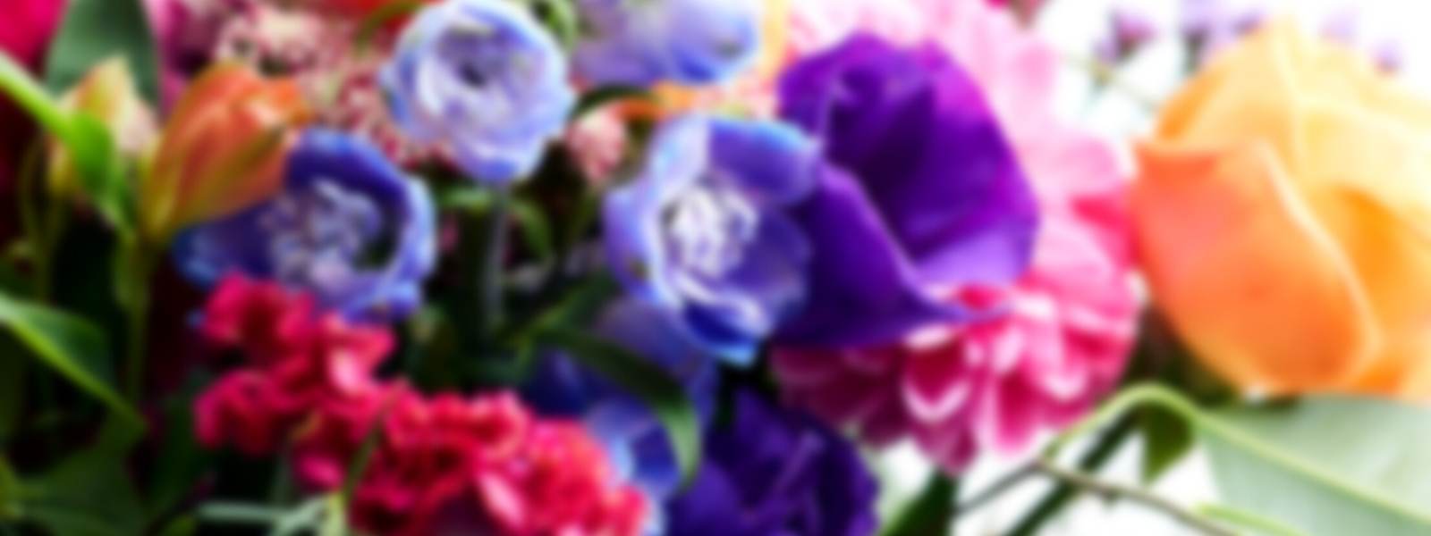 Looking for a florist near me? Shop Fabulous Flowers and Gifts for the best florist in town. Learn more about how our florists work and how they care about the flowers, nature and our customers. Order Fabulous Flowers and Gifts today.