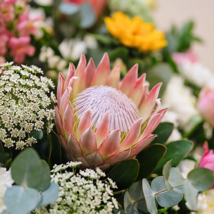 Close-up of a pink king protea with Queen Anne's lace and eucalyptus in the memorial tribute.