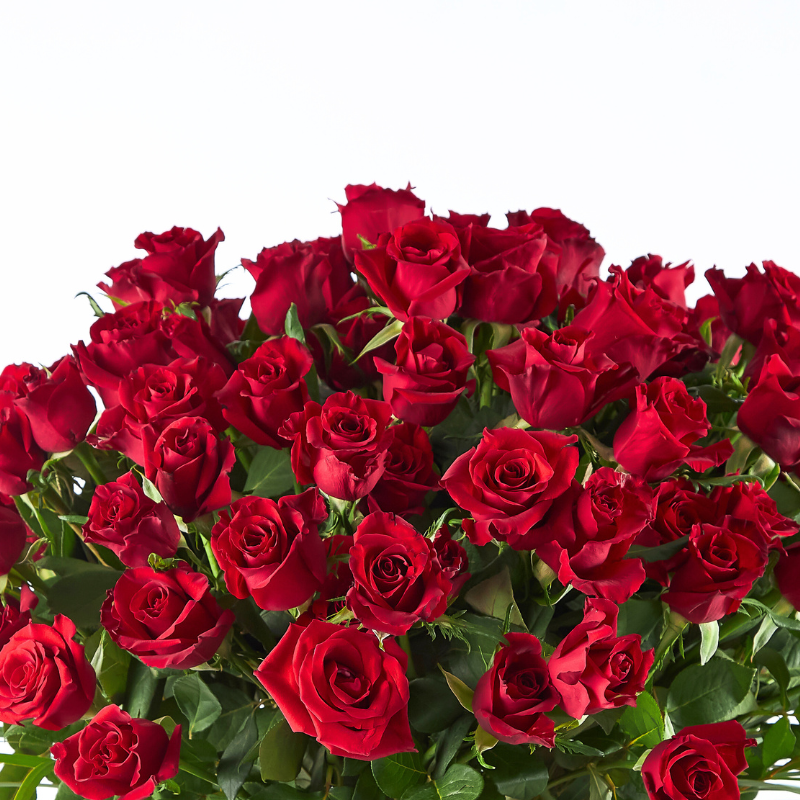 close-up of deep red roses with velvety petals and rich green leaves in a romantic flower arrangement