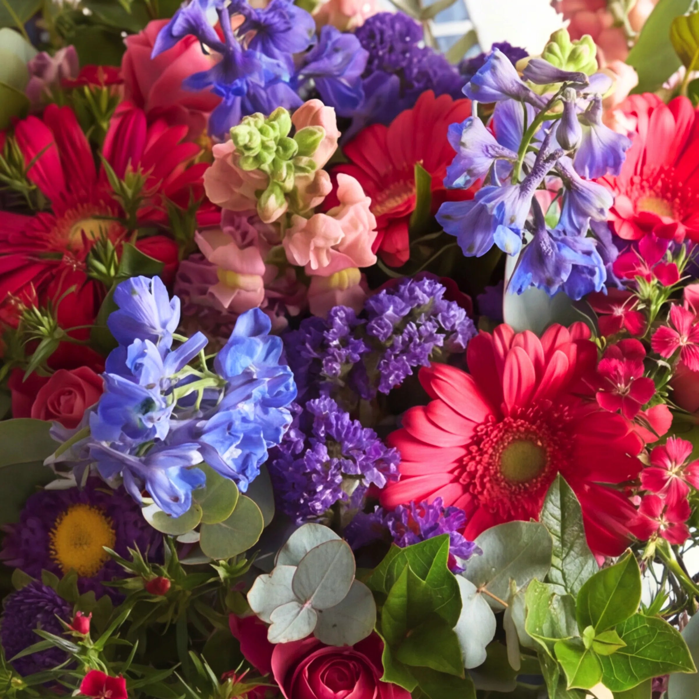 Close-up of the Gratitude thank you bouquet with hot pink gerberas, blue delphinium, peach snapdragons and statice