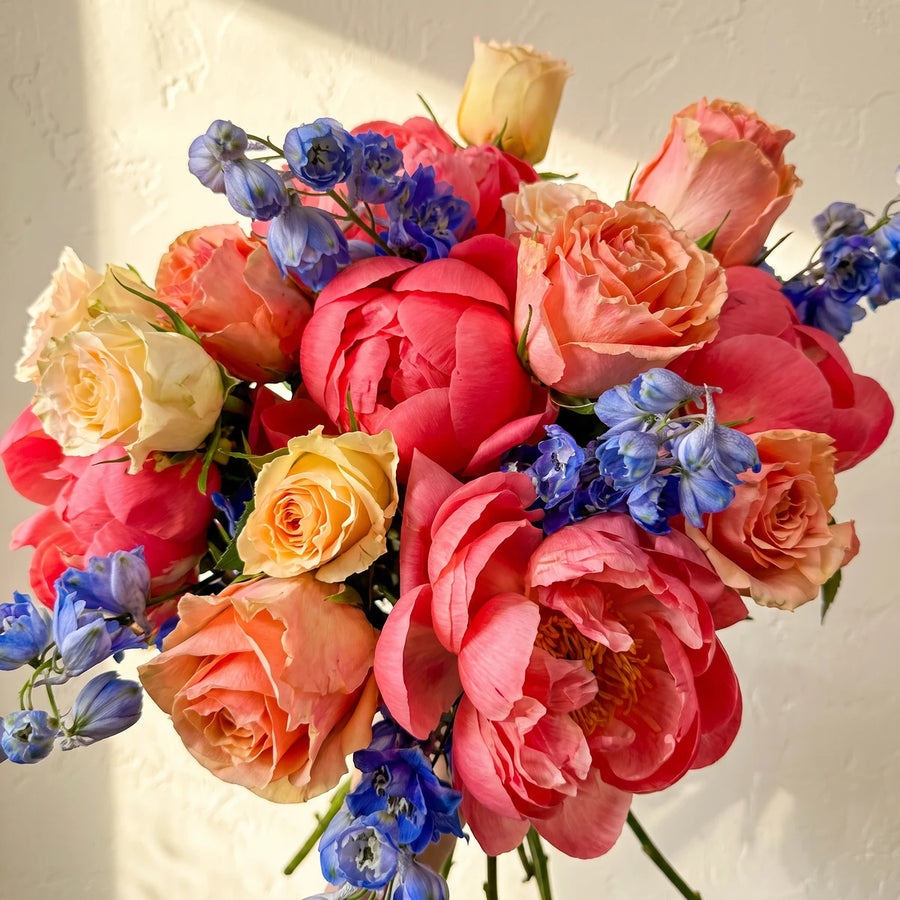 Close-up of open coral peonies with peach, apricot and cream roses and sprays of blue delphinium