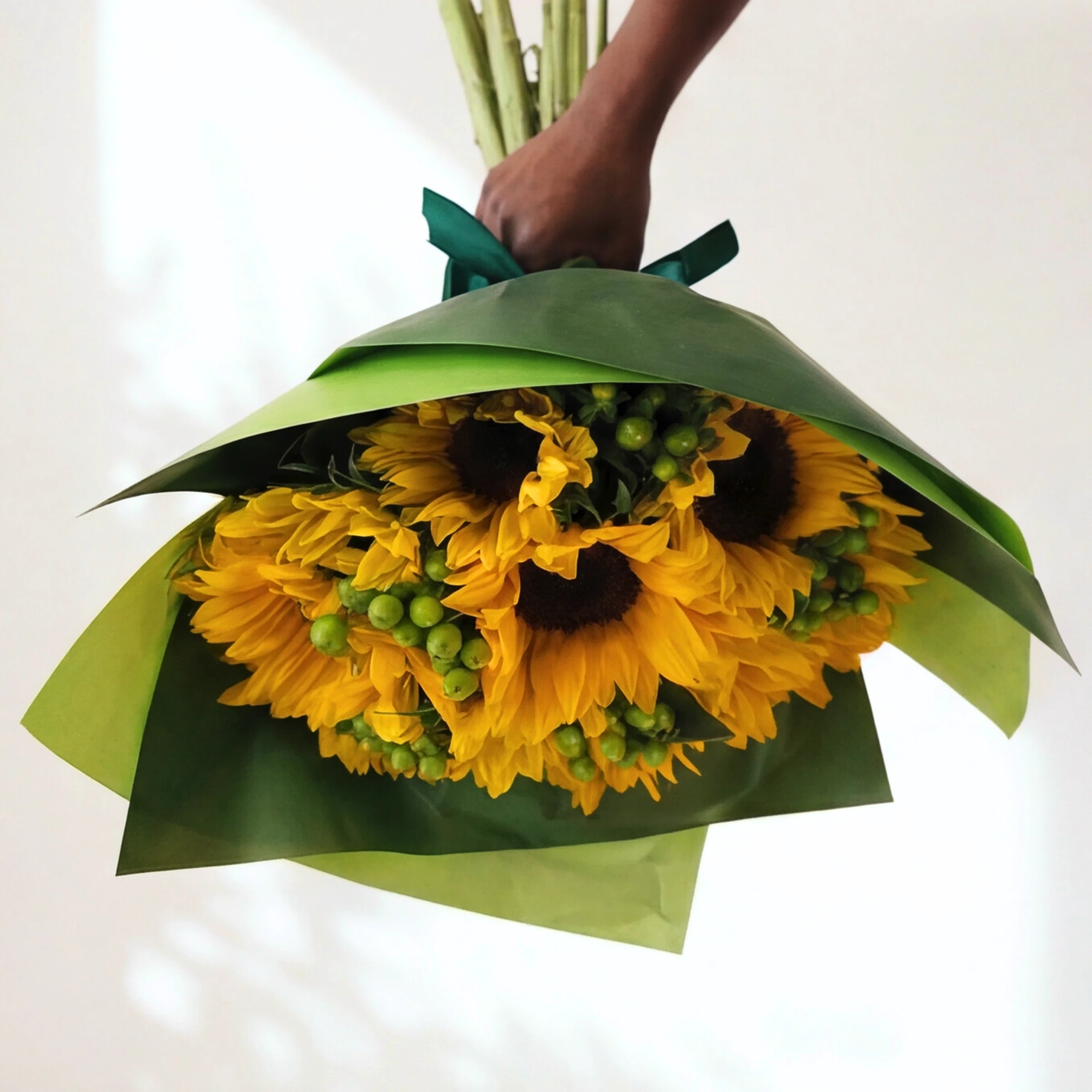 The Here Comes the Sun sunflower bunch in green wrap with a green ribbon, held up