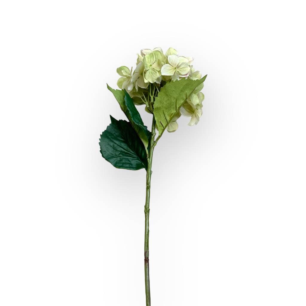 Hydrangea Green Silk Flower Stem - Fabulous Flowers and Gifts