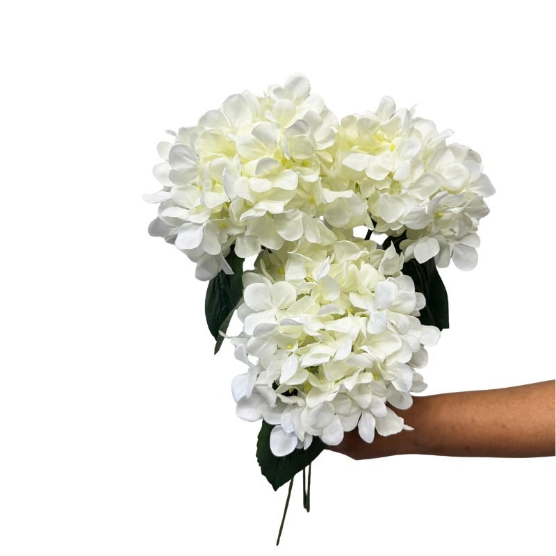Bouquet of white flowers held by a person against a white background