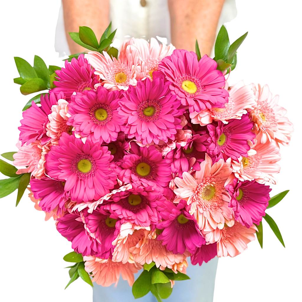 Infinite Pink Gerbera Bouquet with vibrant pink gerberas, soft greenery and gift-ready wrap