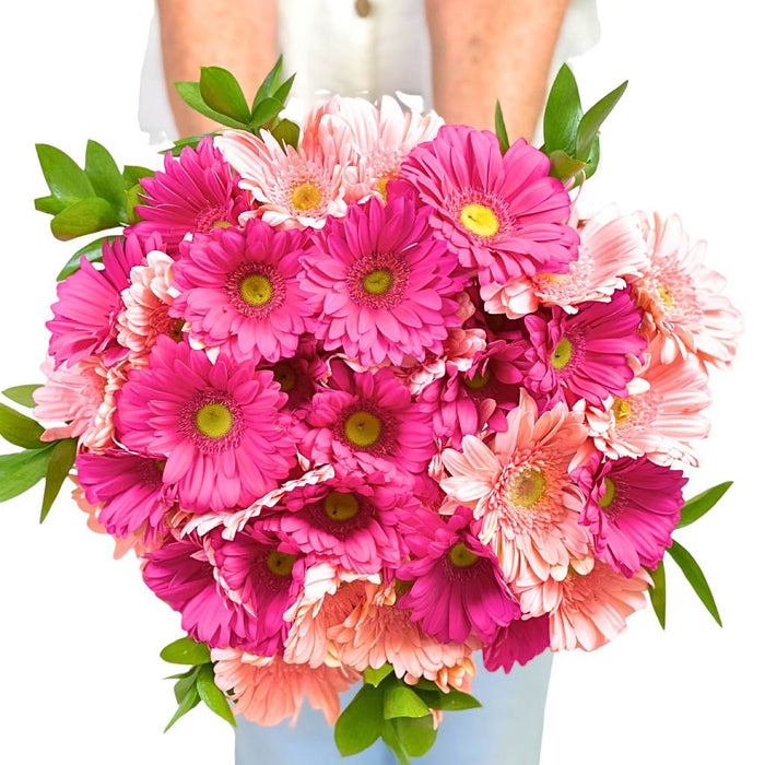Infinite Pink Gerbera Bouquet