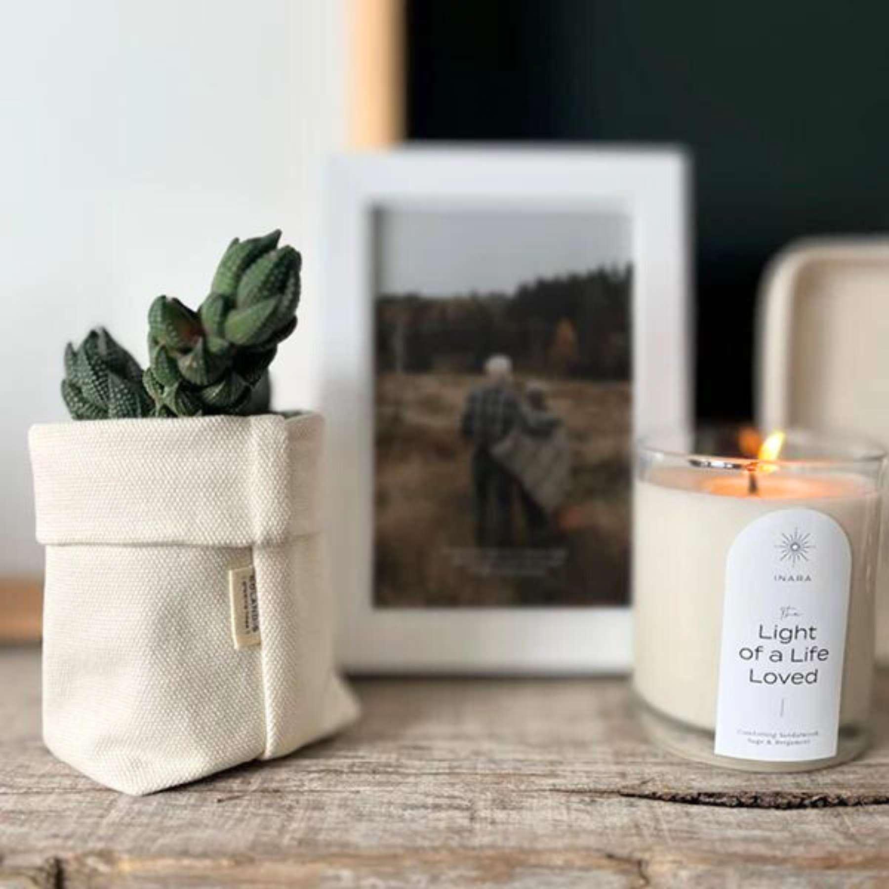 Charming LACUNA Frame with a tranquil nature scene, alongside a lit aromatic candle and a potted succulent, from the homely collection at Fabulous Flowers and Gifts.