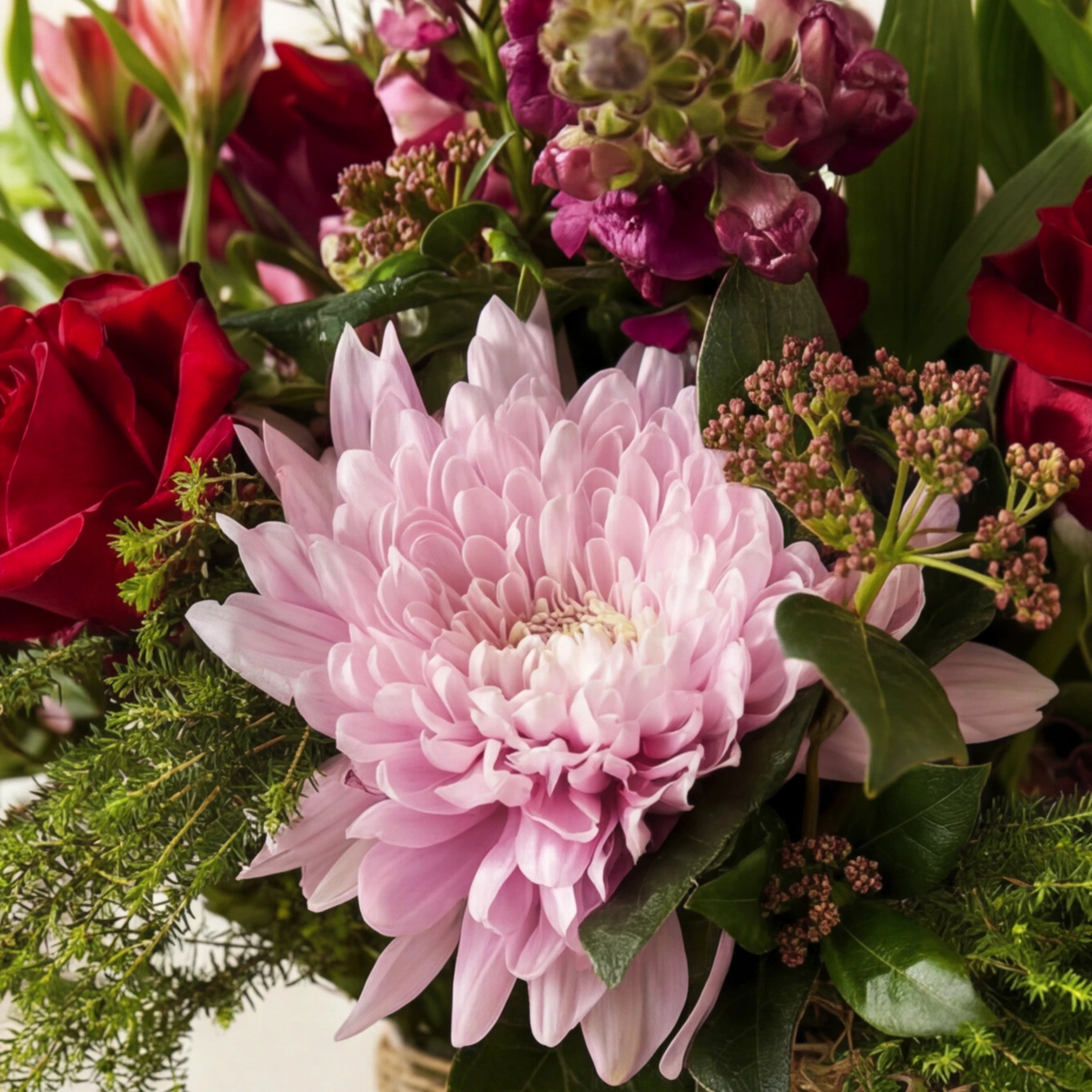 Close-up of Love in a Jar arrangement showing soft pink chrysanthemum hero flower with deep red roses, burgundy snapdragons and pink rice flower berries, Fabulous Flowers