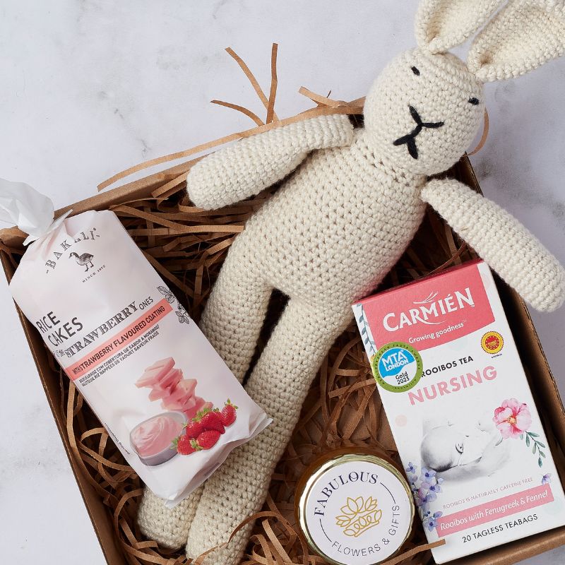 Mom and New Baby - alternate view