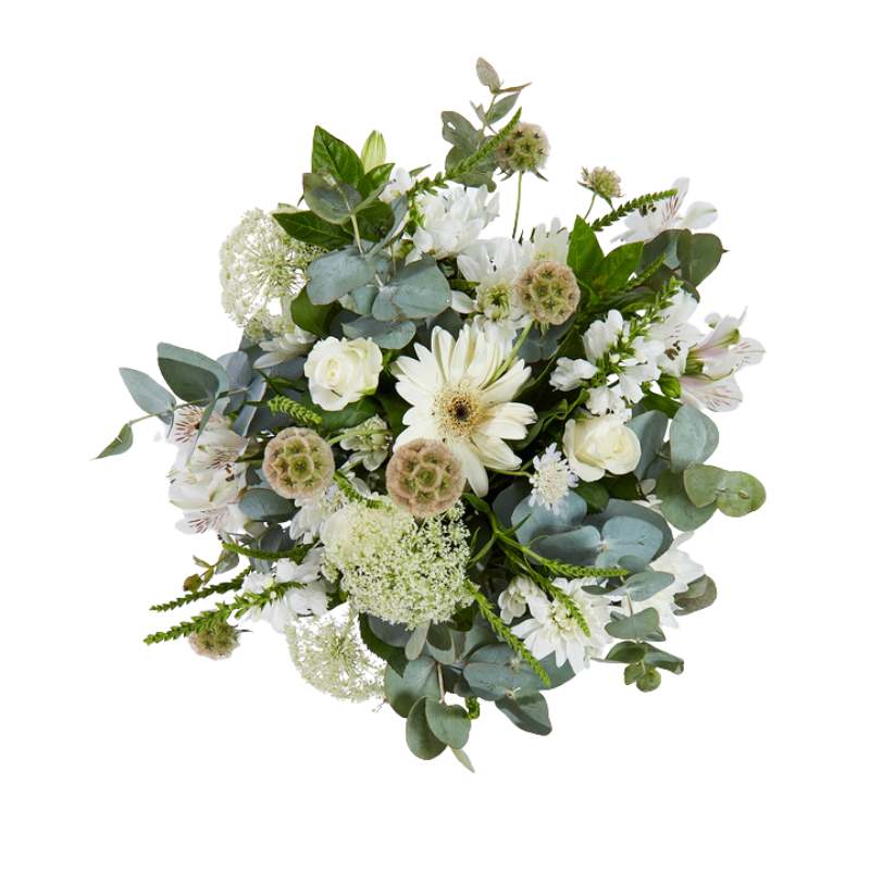 Jar arrangement of flowers with greenery on a white background