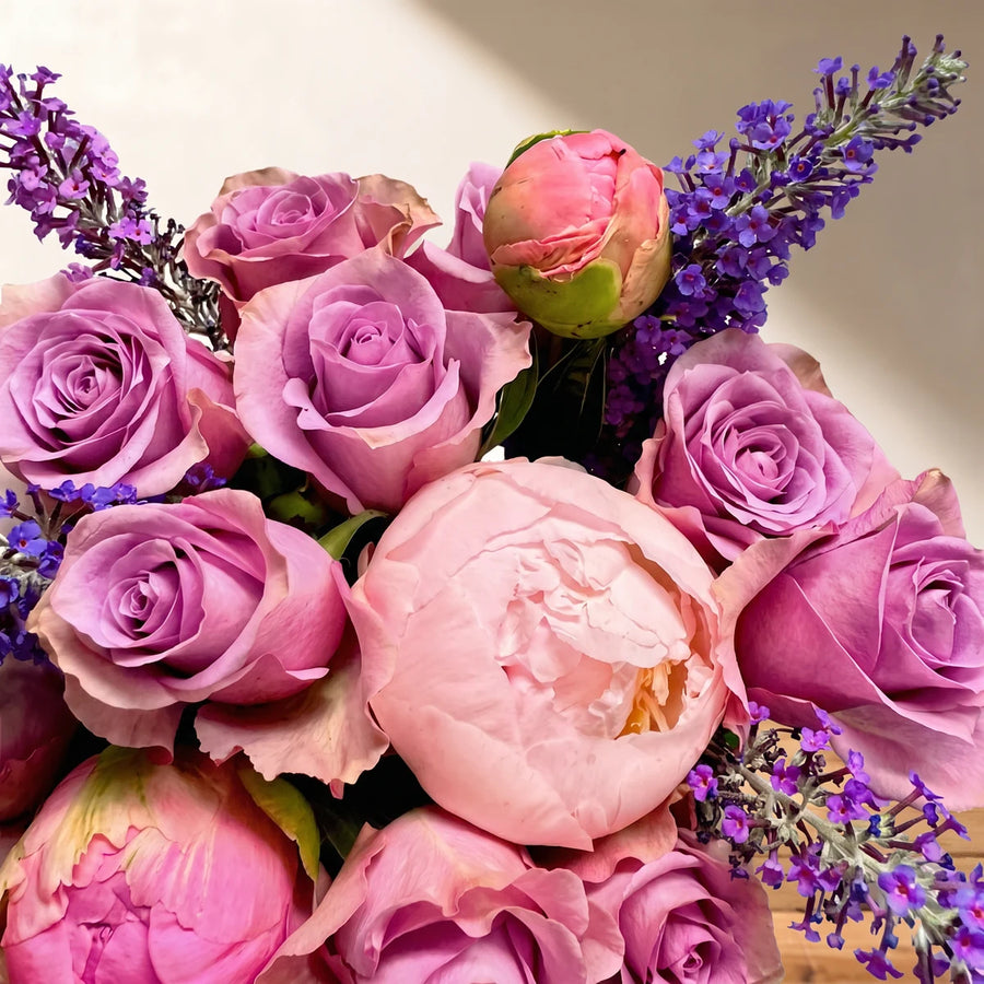 Close-up of a blush pink peony surrounded by lilac roses, a peony bud and purple lavender