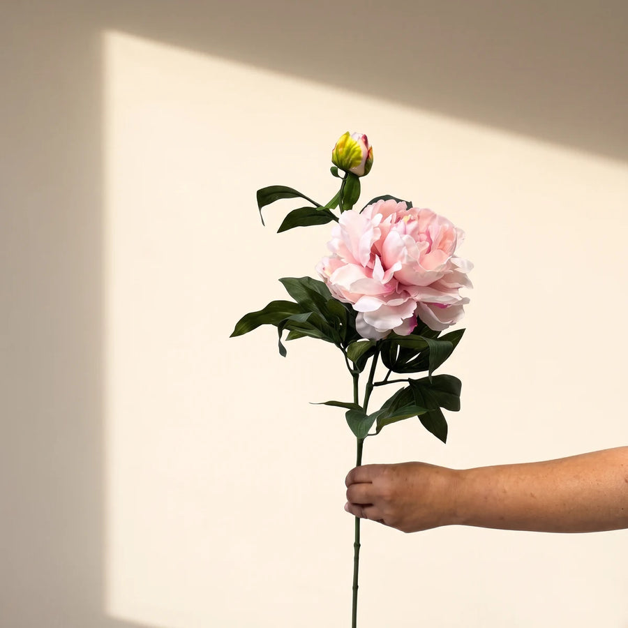 Single mauve silk peony stem held out against a cream wall