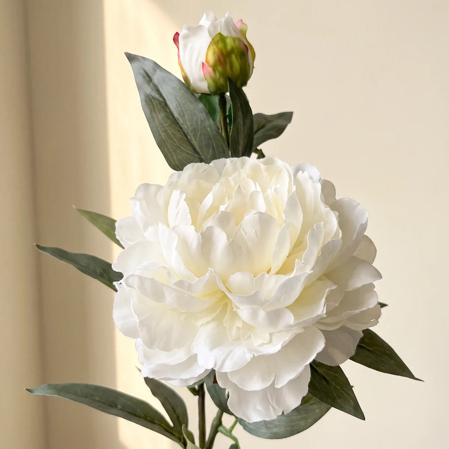 Close up of the ivory white silk peony bloom and bud